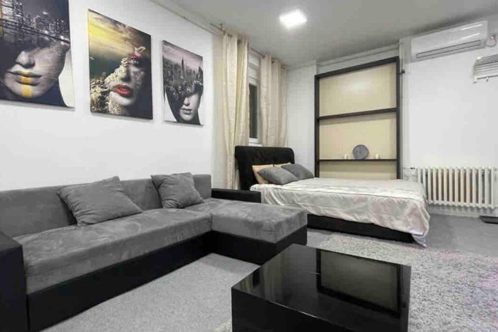 דירות בלגרד Dorcol Lux Studio מראה חיצוני תמונה