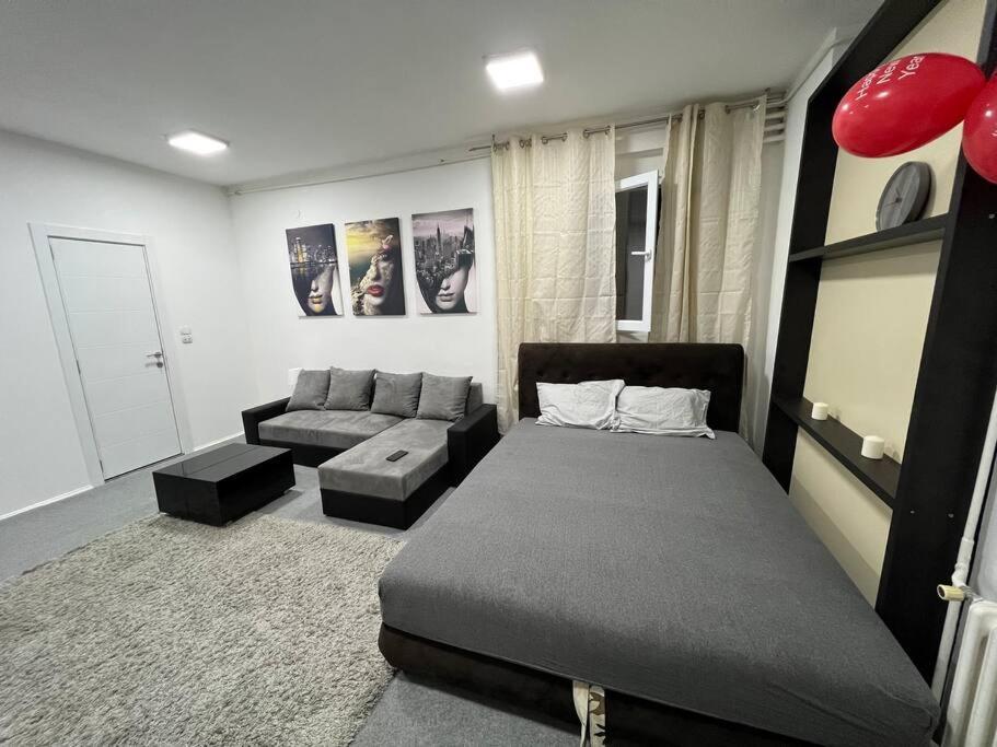 דירות בלגרד Dorcol Lux Studio מראה חיצוני תמונה